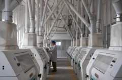 采纳氮肥前移、测土配方施肥、“一喷三防”等