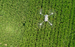 为保障国全做出了主要贡献